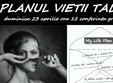 planul tau de viata