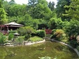 plimbare de cunoa tere i socializare in gradina botanica