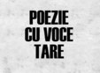 poezie cu voce tare la cndb