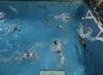 polo csm frigo conty hornets kosice 