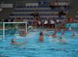 polo csm frigo conty oradea sportul studentesc