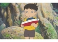 ponyo la pitesti