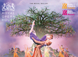 poveste de iarna balet modern la happy cinema