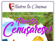 povestea cenusaresei hollywood multiplex din bucure ti mall vit