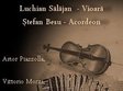 povesti cu o vioara si un acordeon