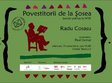 povestitorii de la sosea radu cosasu