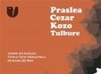praslea cezar kozo tulbure la tete a tete 