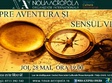 despre aventura i sensul vie ii