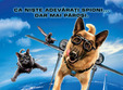 premiera film cats dogs the revenge of kitty galore timisoara