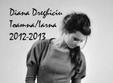 prezentare de moda diana dreghiciu