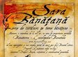 prezentarea portalului banaterra enciclopedia banatului