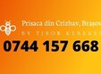 poze prisaca din crizbav bra ov participa la targul poli biofest 2022