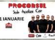 proconsul