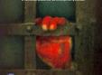 proiectia filmul care doare 