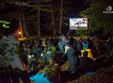 proiectii film documentar in padurea hoia baciu