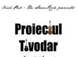 proiectul tivodar in irish pub