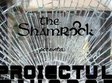 proiectul tivodar in the shamrock