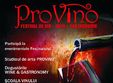 provino festival de vin arta si gastronomie