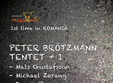  pure madness peter brotzmann la oradea