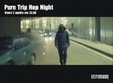 pure trip hop night in brain