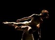 push spectacol de dans contemporan