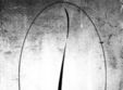 r ppen portable elephant question mark