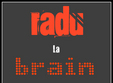 radu la brain