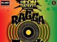 raggattack in bucharest