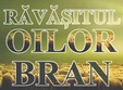 rava itul oilor 2023 i festivalul branzei i pastramei la bran