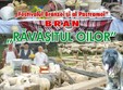 ravasitul oilor bran 2013