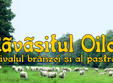 ravasitul oilor bran 2014