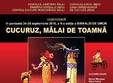 recital extraordinar dorel visan