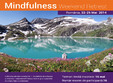 retreat de mindfulness cu yonathan dominitz
