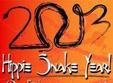 revelion 2013 in e varza style