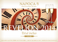 revelion 2014 la napoca 15