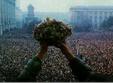 revolutia in direct