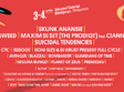 revolution festival timisoara 2016