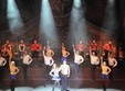 rhythm of the dance timisoara
