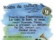 roaba de cultura in parcul herastrau