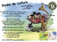 roaba de cultura in parcul herastrau
