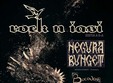 rock n iasi