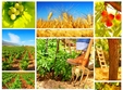 romanian agribusiness conference punctul de intalnire al reprezentantilor sectorului agricol roman