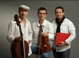 romanian piano trio resita 