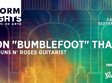 ron bumblefoot thal at muzeul de arta