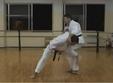 poze sa slabim cu karate shotokan 