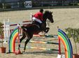 salonul calului 2012
