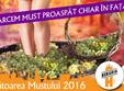  sarbatoarea mustului 2016 la beraria h