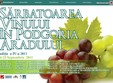 sarbatoarea vinului in podgoria aradului