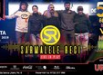 sarmalele reci live in play