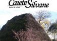 satul salajean in caiete silvane